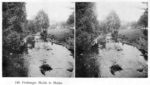 9x38sw2_1905_3D_Mulde in Mulda_v.jpg
